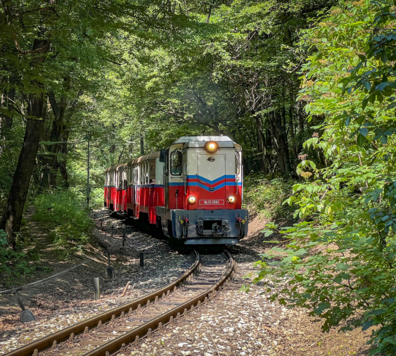 Children's Railway